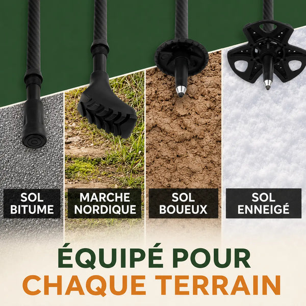 Bâtons de marche carbone Mercure Sortrek - équipé pour chaque terrain