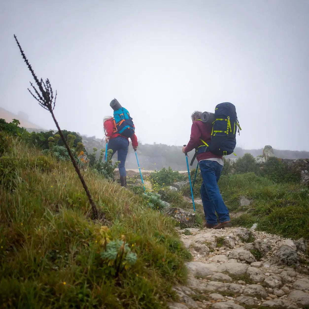 Deux randonneurs marchant avec des bâtons sur un sentier de montagne